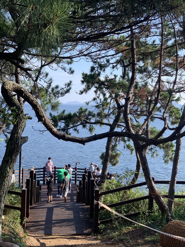 여수 섬 여행 추천 :: 아름다운 예술의 섬 장도🌊