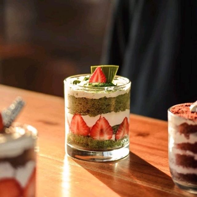 CAFE MONSTERA CAFE MONSTERA