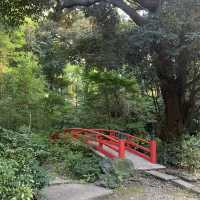 【東京都】赤坂氷川神社