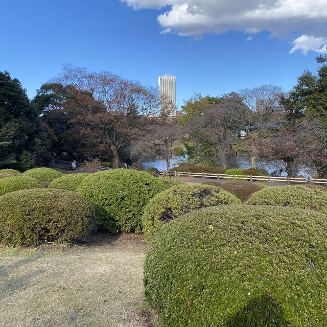 新宿御苑・ツツジ山