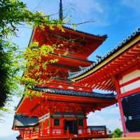 #Kiyomizudera temple in Summer♥️.