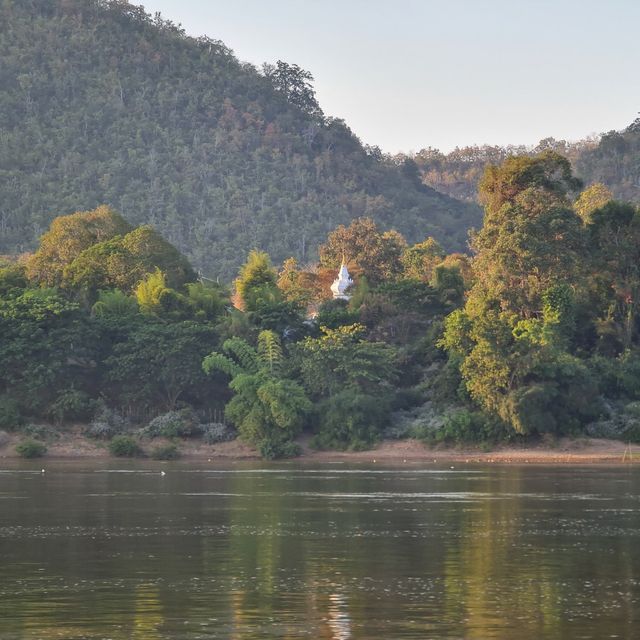 Melong Kingdom Cruise