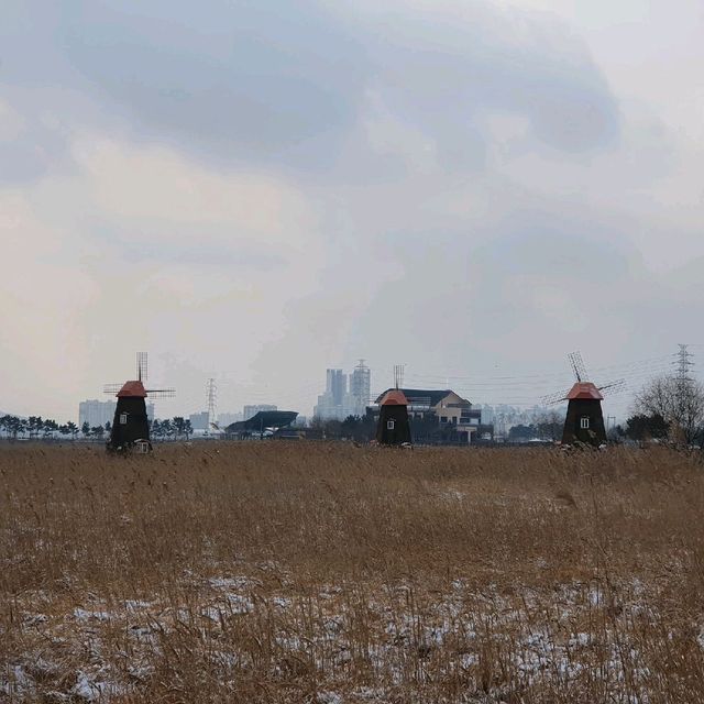 겨울에도 좋아요 소래습지생태공원