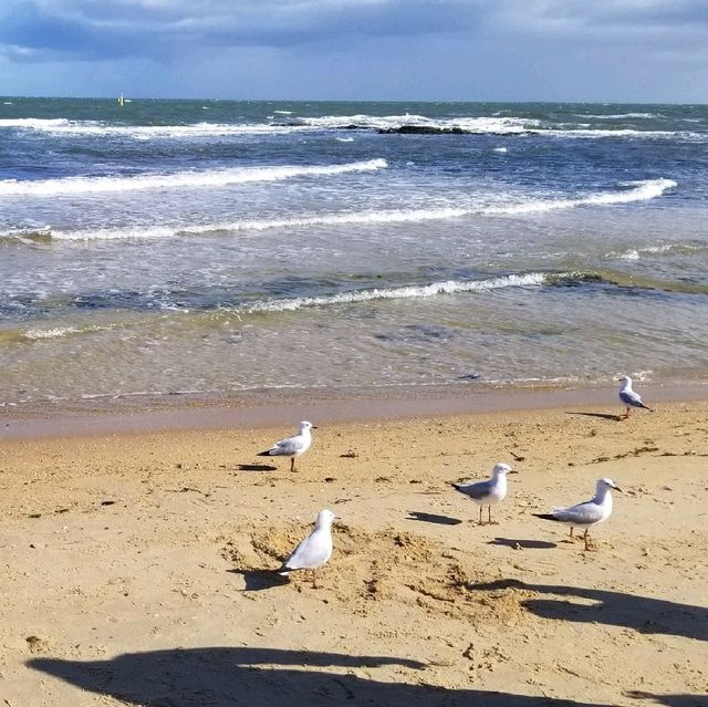 無敵海景 ～ Brighton Beach 