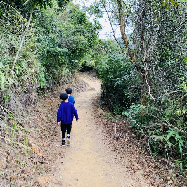 港版嵐山竹林之道
