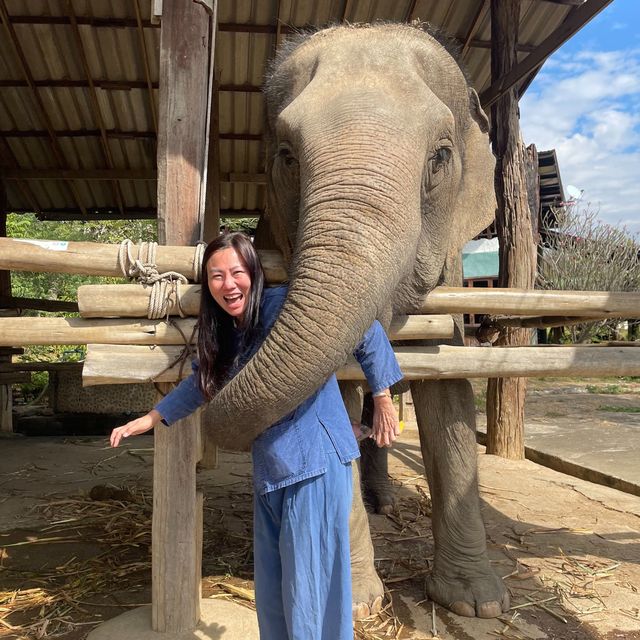 Thom’s Pai Elephant Camp