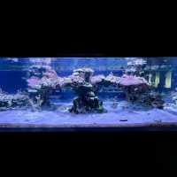 すみだ水族館