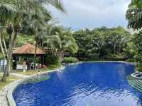 Deep blue pools