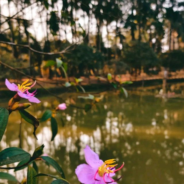 A day with nature❣️