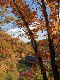 단풍여행 끝판왕🍁화담숲🍂어때요