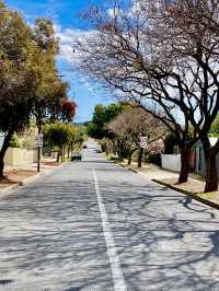 Adelaide blue sky in spring 