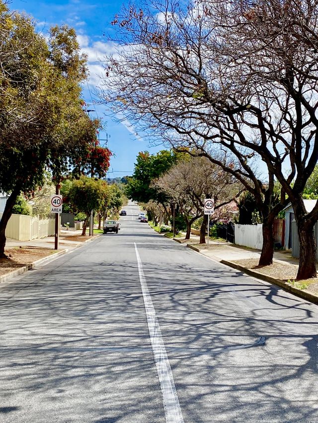 Adelaide blue sky in spring 