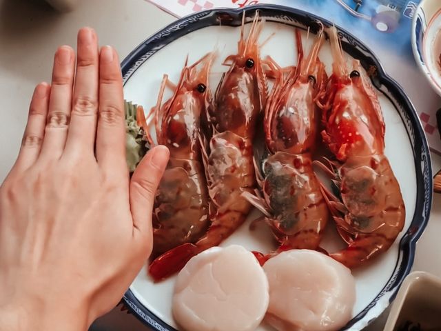 探店海中公園ACROPORA鹿角珊瑚🪸