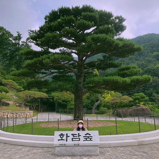 부모님 모시고 가기 좋은 여행 장소 “곤지암 화담숲”