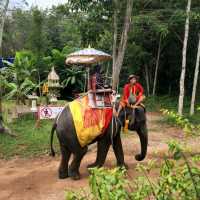 Hat Yai - a must visit gem!