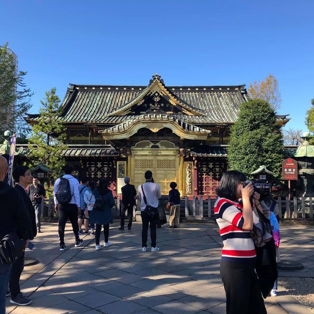 Ueno park relaxing stroll 