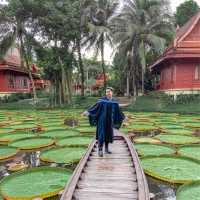 คาเฟ่ ที่มี ใบบัว สวยมาก 
