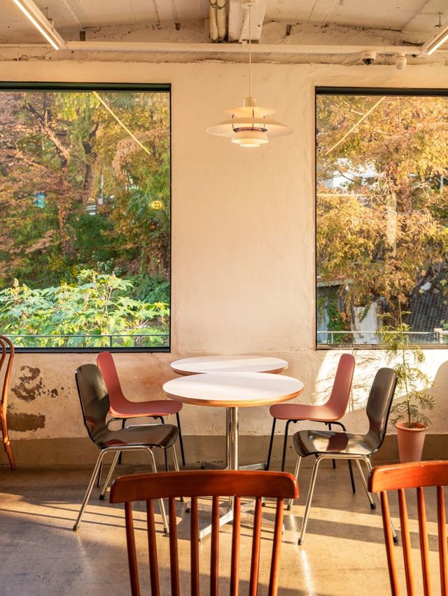 남산 케이블카뷰 카페 - 🍂