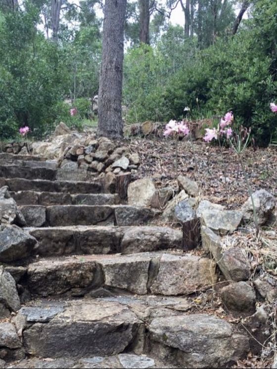 beautiful garden in Perth WA