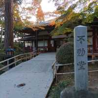 岩手県！世界遺産【平泉】中尊寺圧巻の紅葉