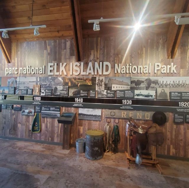 Edmonton ELK Island National Park 🏞