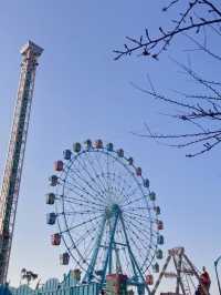바이킹이 제일 무서운 놀이공원 월미도🎡🎪