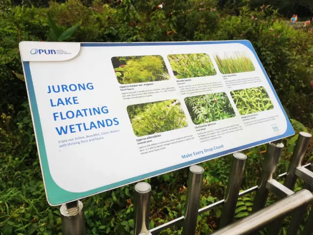 Jurong Lake Floating Wetlands - Part 1