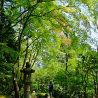 臥龍山荘