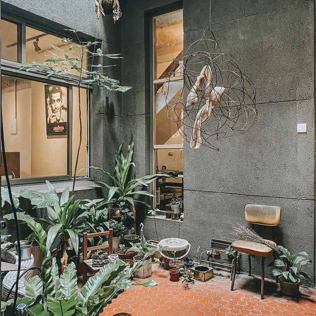 COFFEE ARABIA ROBUSTA,YOGYAKARTA