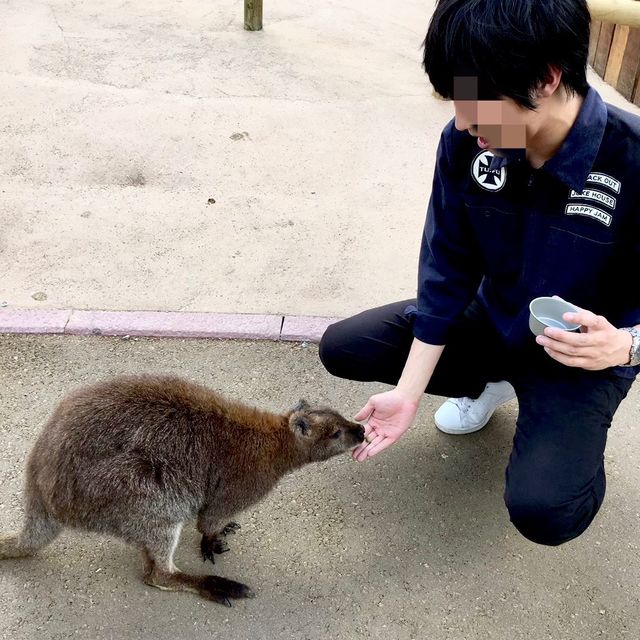 日本最大級！【富士サファリパーク】で動物達に大接近🦁