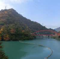 【富山】トロッコ電車に乗って出逢えた秘境