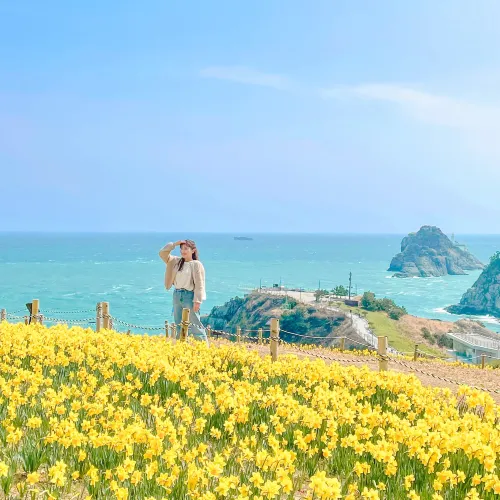 🌼봄이 찾아 온 부산