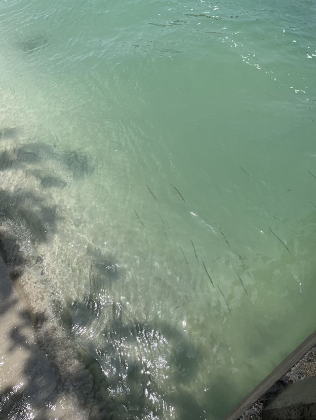 อุทยานแห่งชาติตะรุเตา