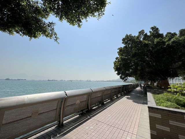 屯門海濱花園🌳