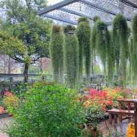 免日曬雨淋！室內花房用餐，享受春季旅行的浪漫氣氛！