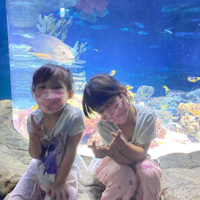 海洋公園返嚟啦！
