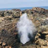 Oneday trip at Kiama Blowhole🇦🇺