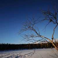 THE DANCING LIGHT : AURORA BOREALIS