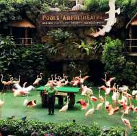 Jurong Bird Park