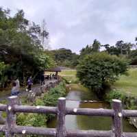 內湖大溝溪親水步道