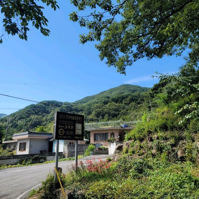 탄소발자국 하동십리벚꽃길 산책 