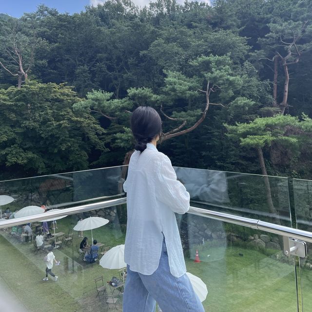 남양주 🐶애견동반카페🐶 '키스톤스피시즈'