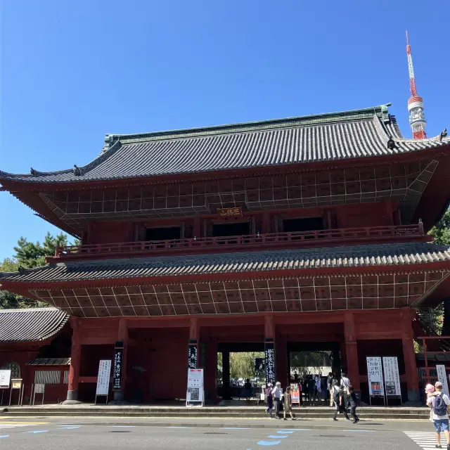 増上寺で「三解脱門」が11年ぶりに特別公開