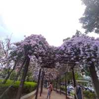 三重菜寮捷運站