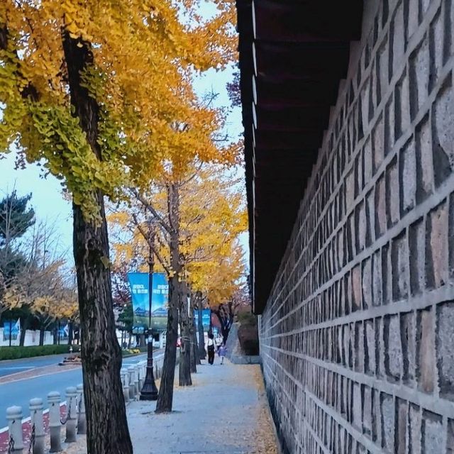 Autumn by the stone walls of Gyeongbukgung