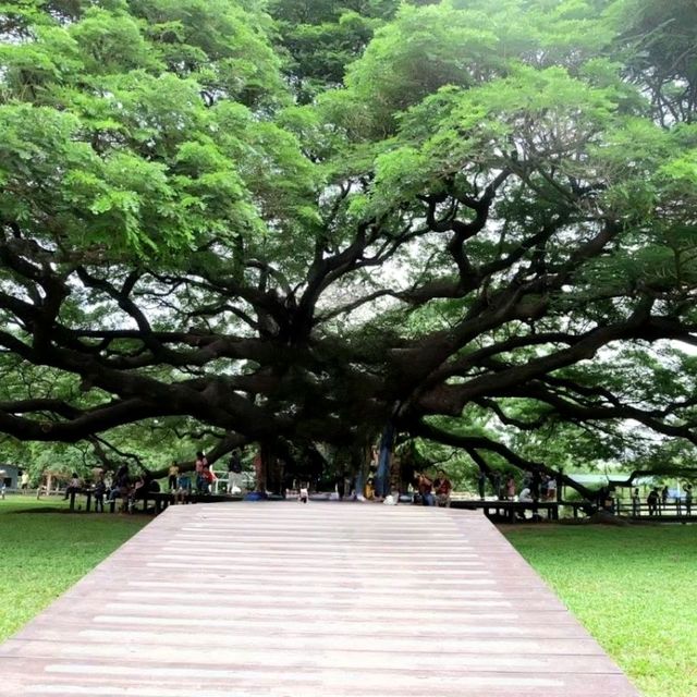 จามจุรียักษ์