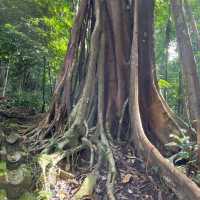 Enjoy dipping my feet into 7 Wells Langkawi!
