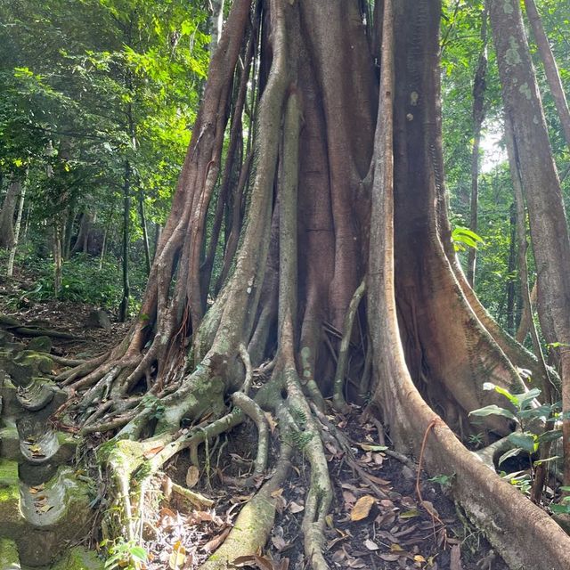 Enjoy dipping my feet into 7 Wells Langkawi!