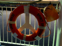 Spirit of Tasmania - Be a Spirited Traveller