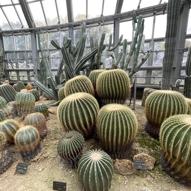 京都府立植物園の温室